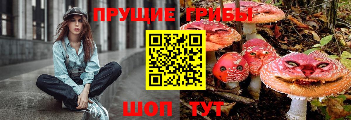 Псилоцибиновые грибы Magic Shrooms  Вход с VPN  Ялта 